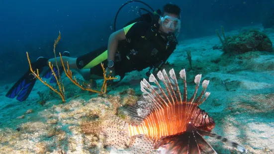 ScubaLibre Varadero