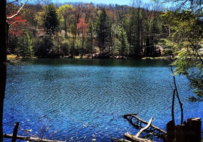 Bays Mountain Park & Planetarium