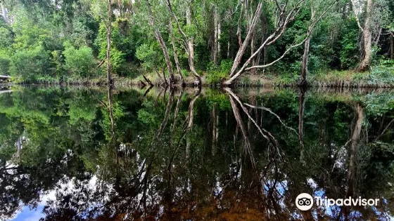 Water Park Creek