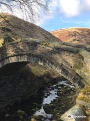 National Trust - Marsden Moor