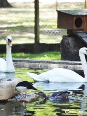 Parc animalier de Nahuques