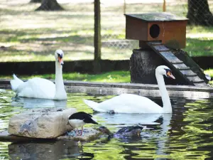 アニマリエ・ド・ナユク公園