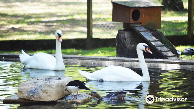 Animal Park Nahuques