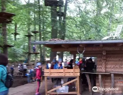 2_Fun Forest AbenteuerPark Homburg