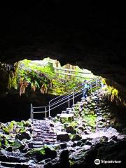 Ape Cave Lava Tubes