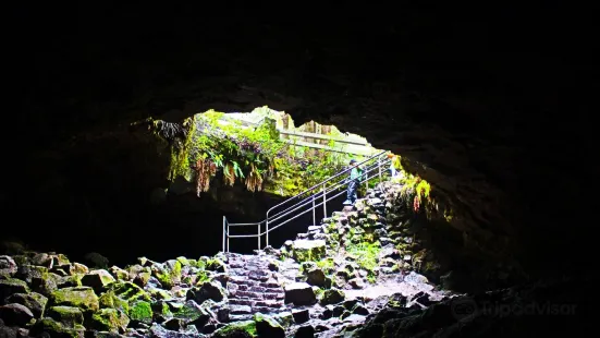 Ape Cave Lava Tubes