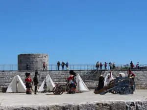 Castillo de Burgos