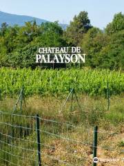 Chateau de Palayson