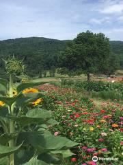 Chiles Peach Orchard and Farm Market