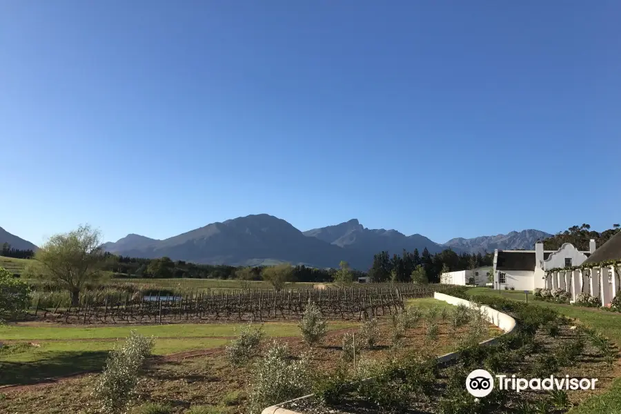 Rijk's Wine Estate