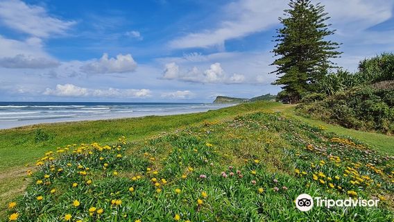 Lennox Head Beach