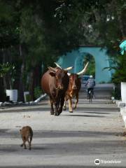 Parque Zoologico El Bosque de Sancti Spiritus