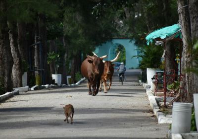 Parque Zoologico El Bosque de Sancti Spiritus