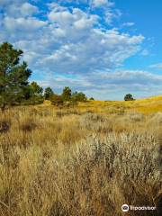 Oregon Trail Ruts