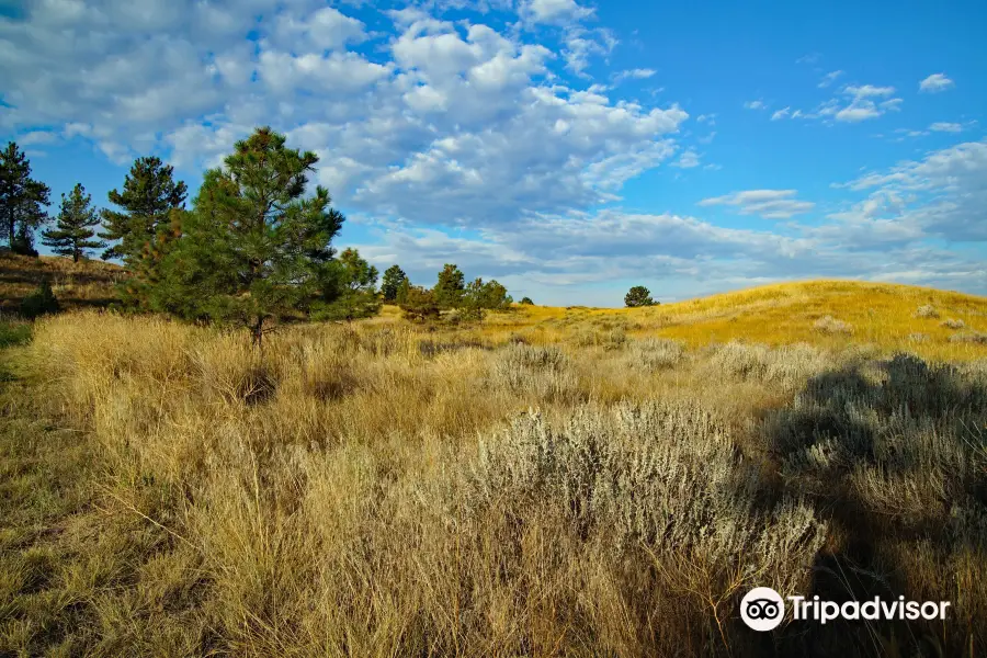 Oregon Trail Ruts