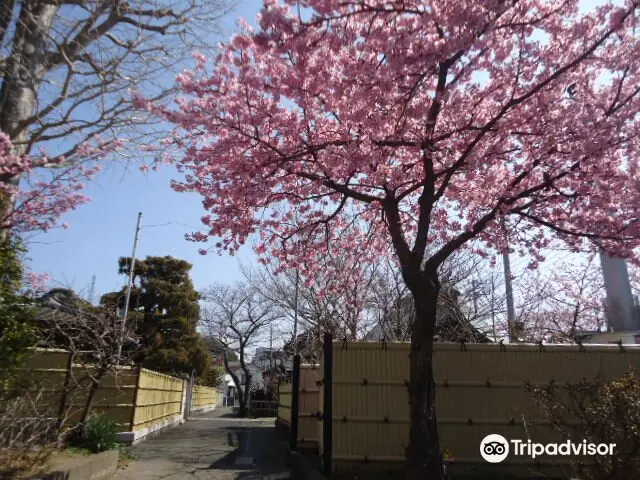 臨済宗 建長寺派 義明山 満昌寺