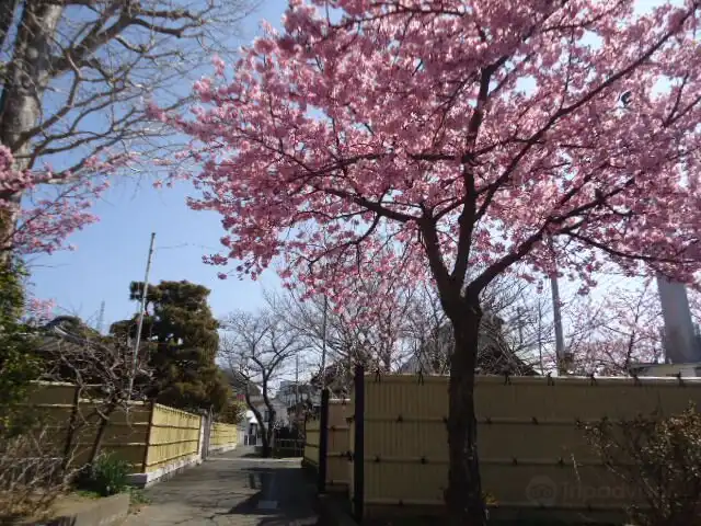 Hotel in zona Manshoji Temple