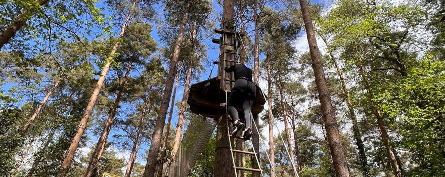 Go Ape Alice Holt
