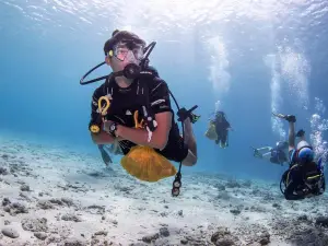Scubaçao Diving Adventures