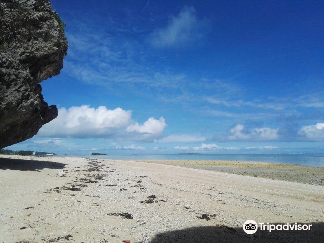 沖縄 南城 みーばるビーチ グラスボトムボート水中ツアー 予約