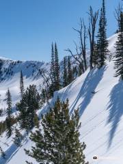 Sun Valley Heli Ski