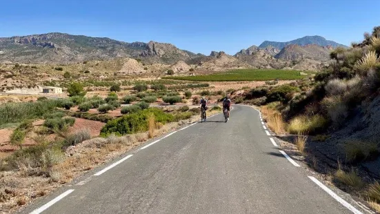 Etiquette Cycling