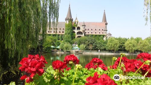 Castle of Ravadinovo