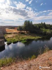 PUENTE DE ÓRBIGO (PASSO HONROSO)