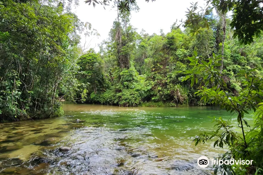 Alligators Nest Swimming Hole