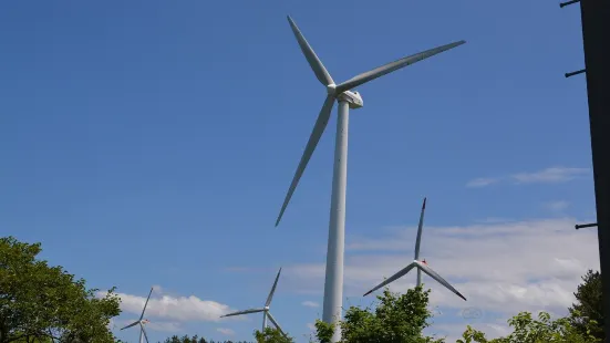 Large-scale Wind Power Generation