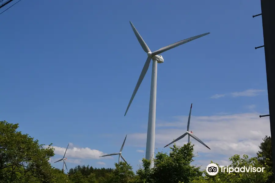 Large-scale Wind Power Generation