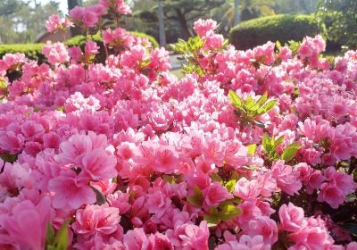 宮崎市フェニックス自然動物園