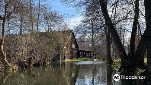 Spreewald Biosphere Reserve