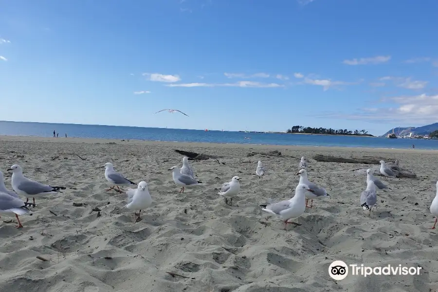 Tahunanui Beach