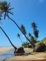 Beach Of The Icarai De Amontada-CE