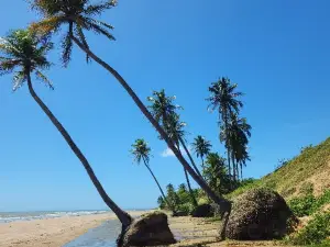 Beach Of The Icarai De Amontada-CE