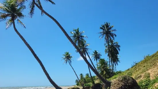 Beach Of The Icarai De Amontada-CE