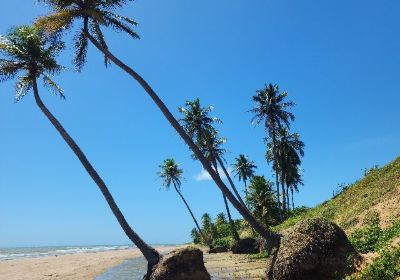 Beach Of The Icarai De Amontada-CE