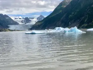 Mako's Water Taxi