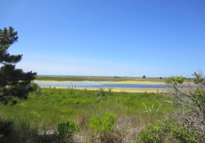 Monomoy National Wildlife Refuge