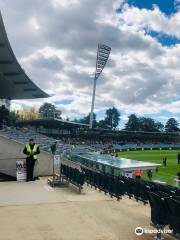 Manuka Oval