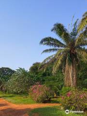 Legon Botanical Gardens Ghana..