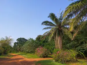 Legon Botanical Gardens Ghana..