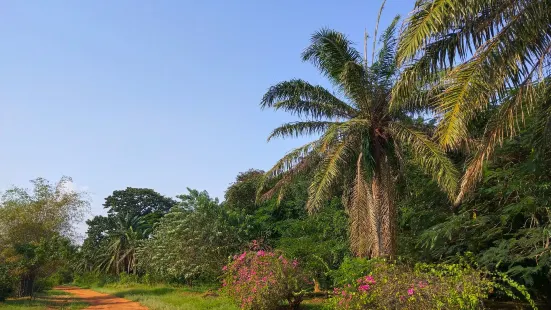 Legon Botanical Gardens Ghana..