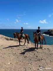 Horse Riding Canaria