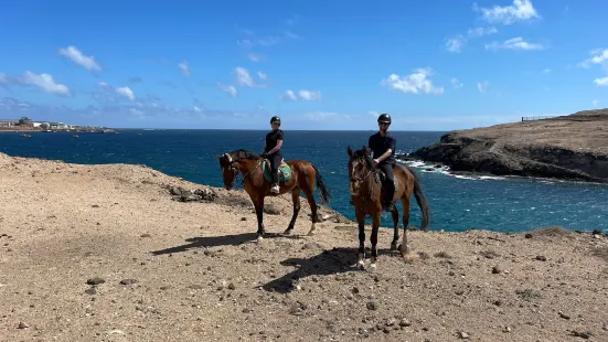 Horse Riding Canaria