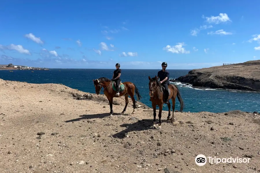 Horse Riding Canaria