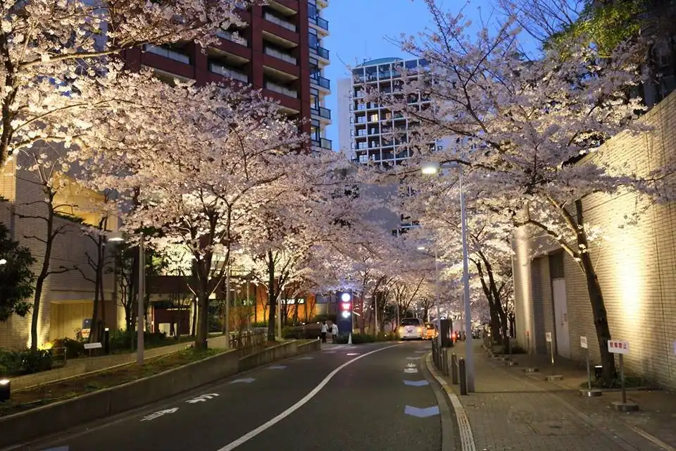 Hotel in zona Roppongi Sakurazaka