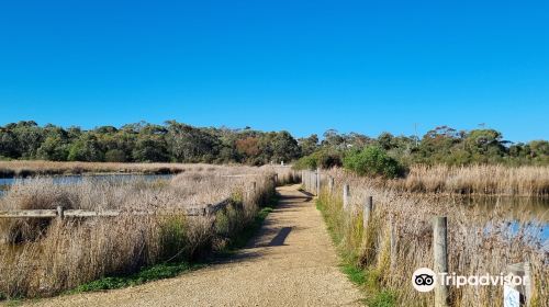 Coogoorah Reserve