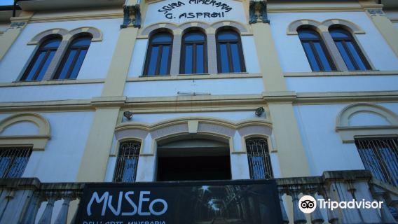 Mineral Art and Mineralogy Museum